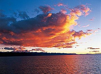 日式便利店模拟游戏《inKONBINI》先行预告 明年发售